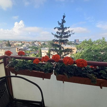 Apartman Lienka Free Parking City Centre Trencin Exterior photo