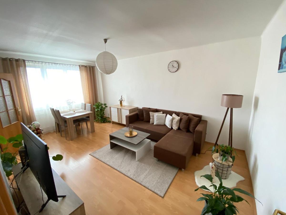Apartman Lienka Free Parking City Centre Trencin Exterior photo
