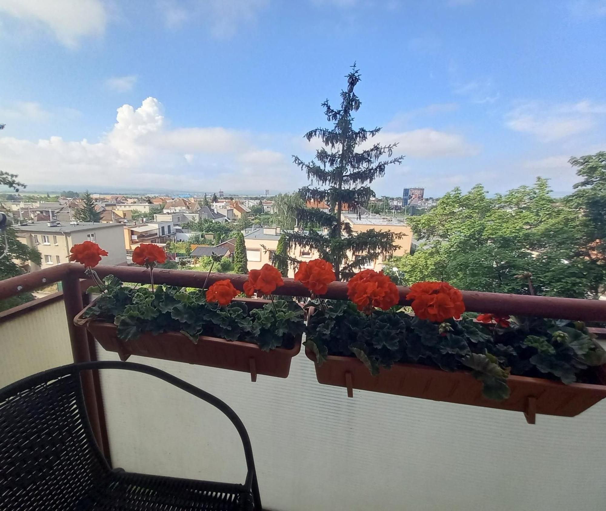 Apartman Lienka Free Parking City Centre Trencin Exterior photo